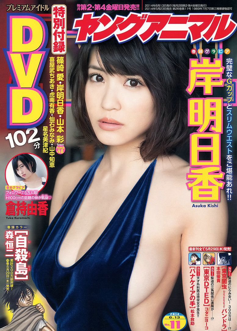 [Young Animal] 2014 No.11 岸明日香 倉持由香 [18P] 