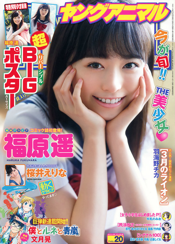 [Young Animal] 2015 No.20 福原遥 桜井えりな [19P]