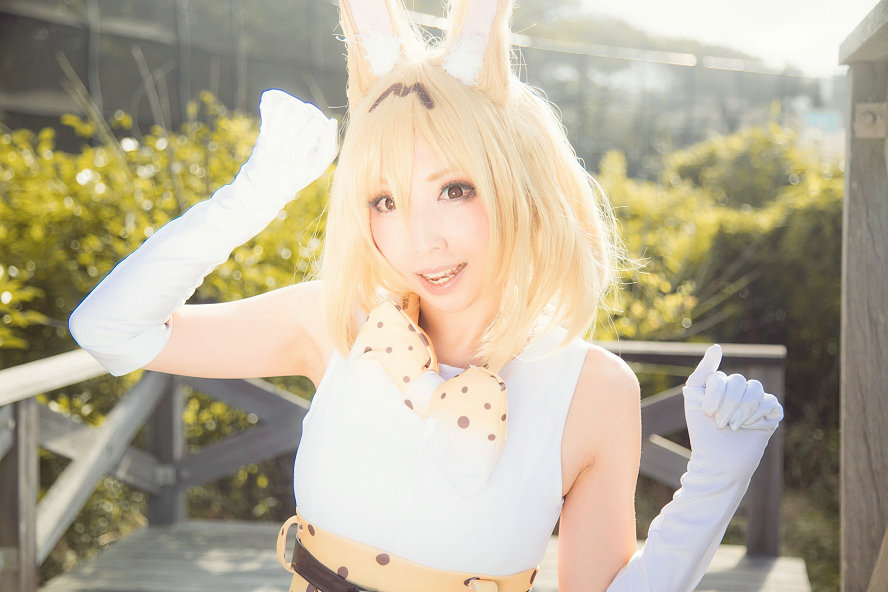 (Cosplay) [Kemono Friends (けものフレンズ)] Momoiro Reku 桃色れく- Ke mo no furenzu けものフレンズ [ ...