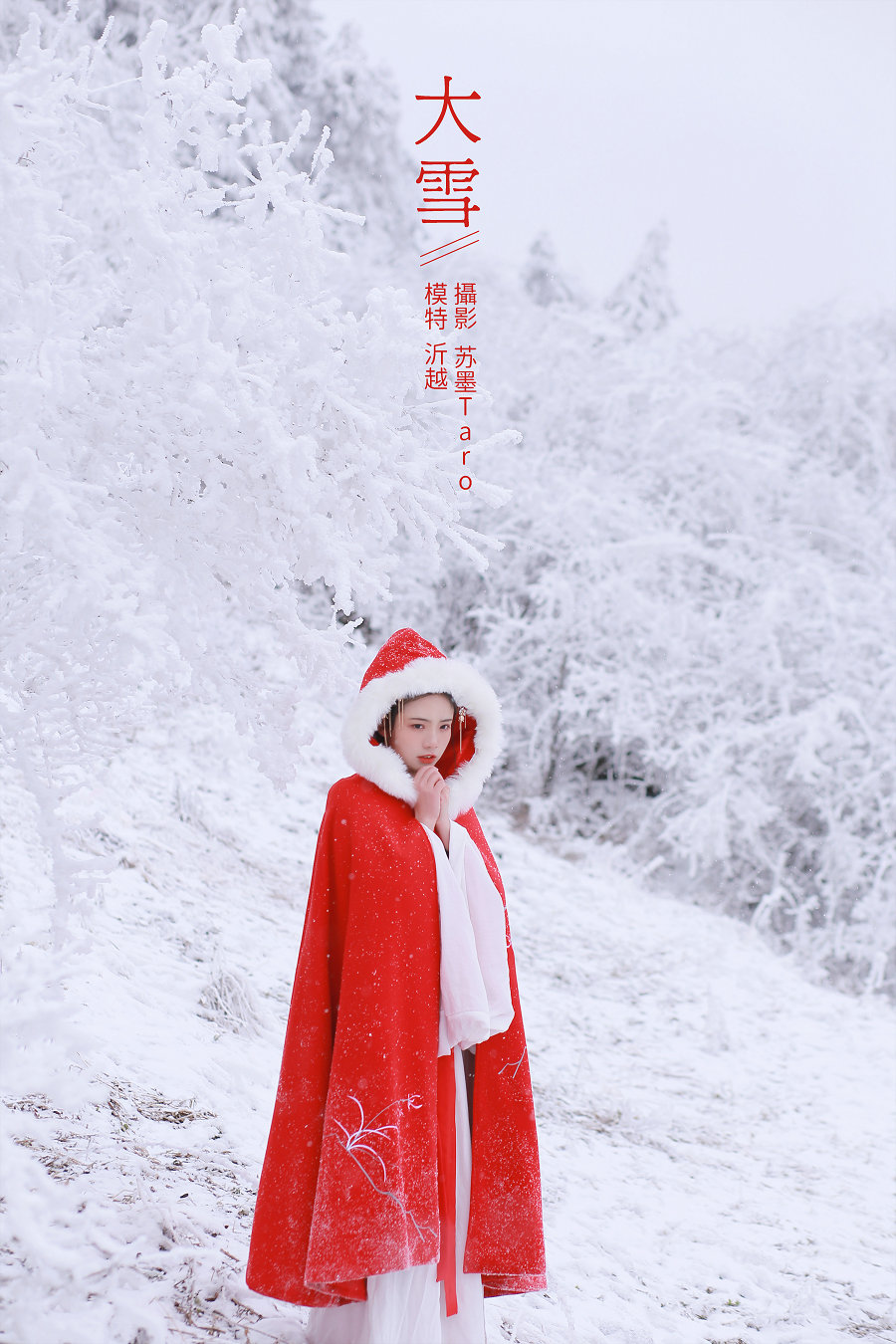 [YITUYU]艺图语 2021.12.25 大雪 沂越 [34P-308MB]