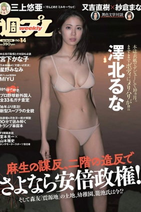 [Weekly Playboy] 2018 No.14 澤北るな 星野みなみ MIYU 宮下かな子 つぶら 亀井南...