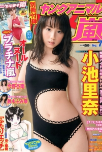 [Young Animal Arashi] 岚特刊2013 NO.07  小池里奈 今野杏南 鈴木ふみ奈 [20P]