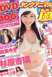 [Young Animal Arashi] 岚特刊2013 NO.02  杉原杏璃 佐々木心音 麻美ゆま [23P]